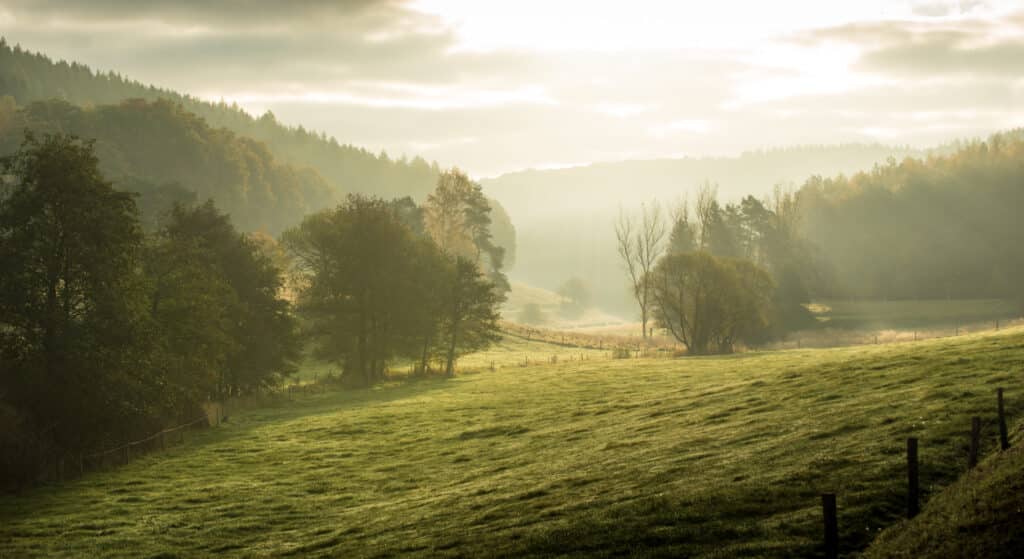 Aktionsprogramm Natürlicher Klimaschutz (ANK)